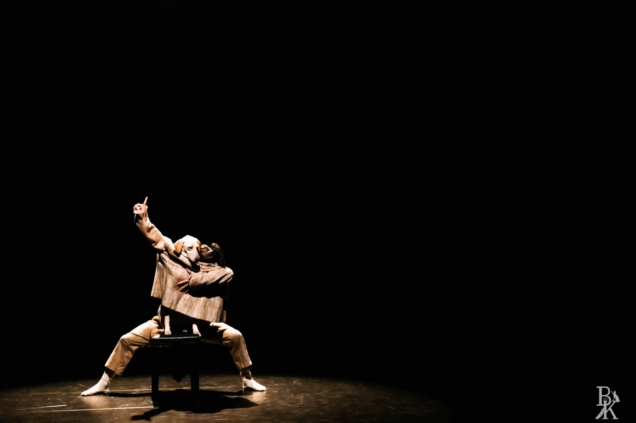 拍攝：謝承翰(狗狗劇場3)