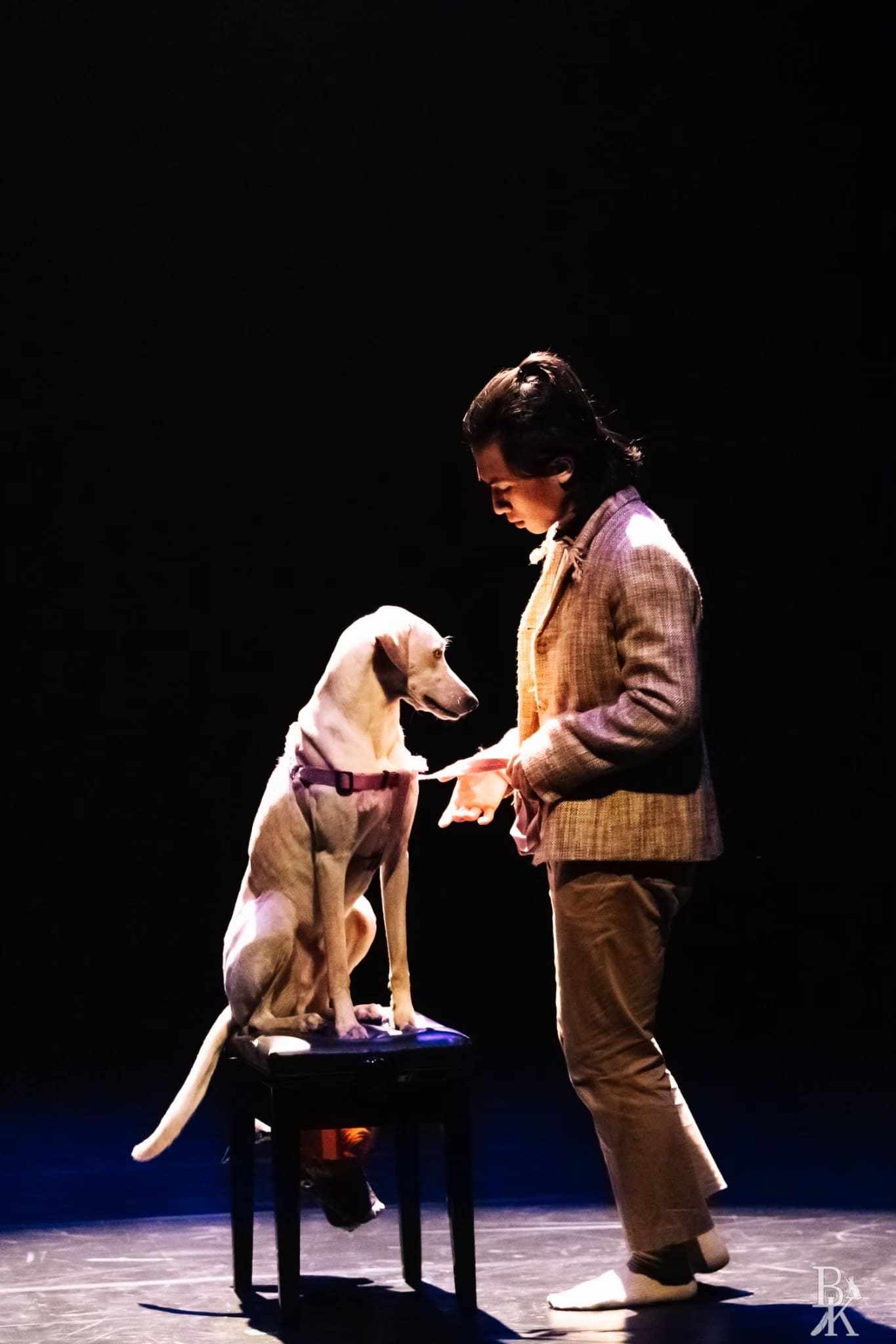 拍攝：謝承翰（狗狗劇場2）