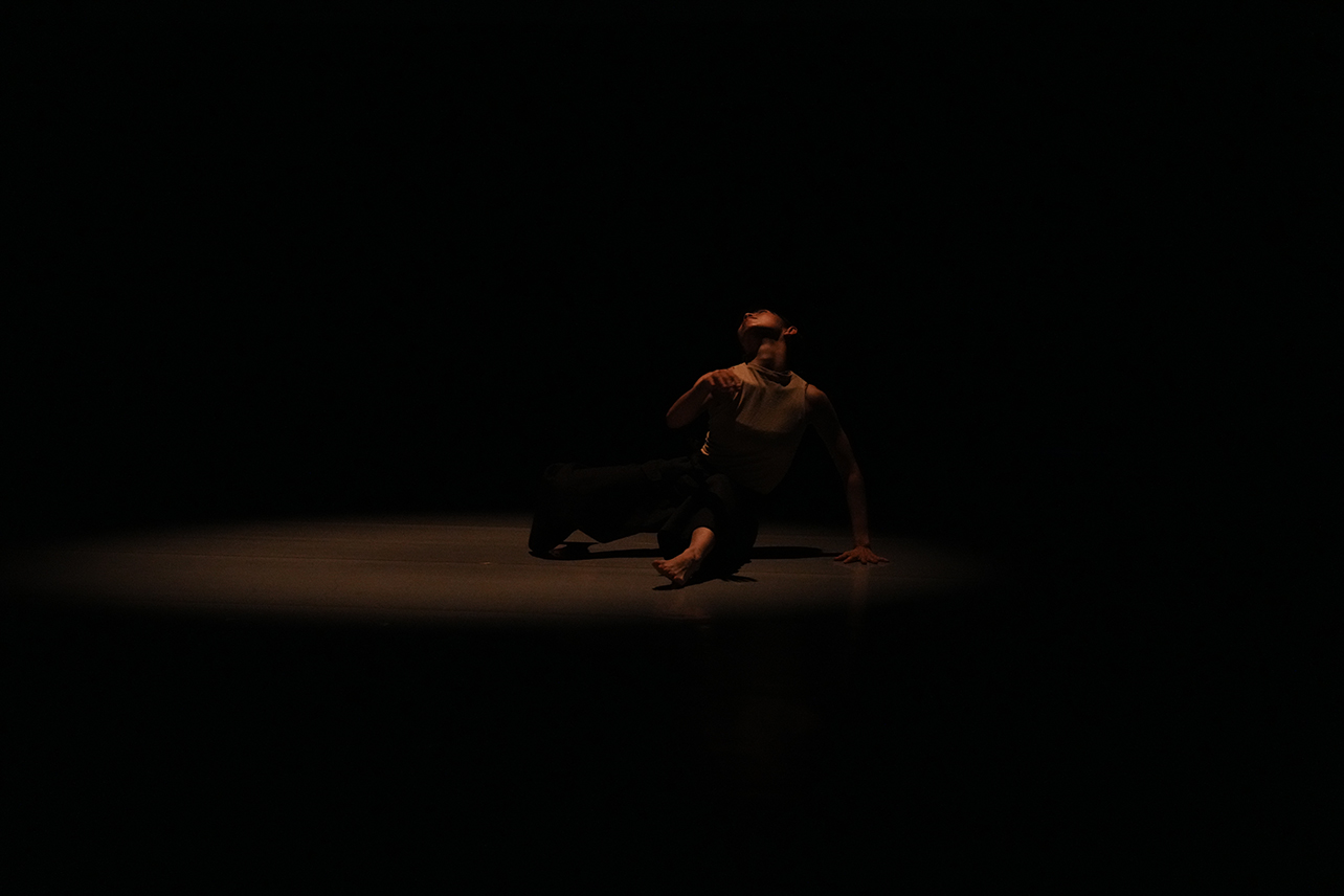 由《2024 樹林跳 跳島舞蹈節》策展團隊提供 攝影師：方妤婷 (1)