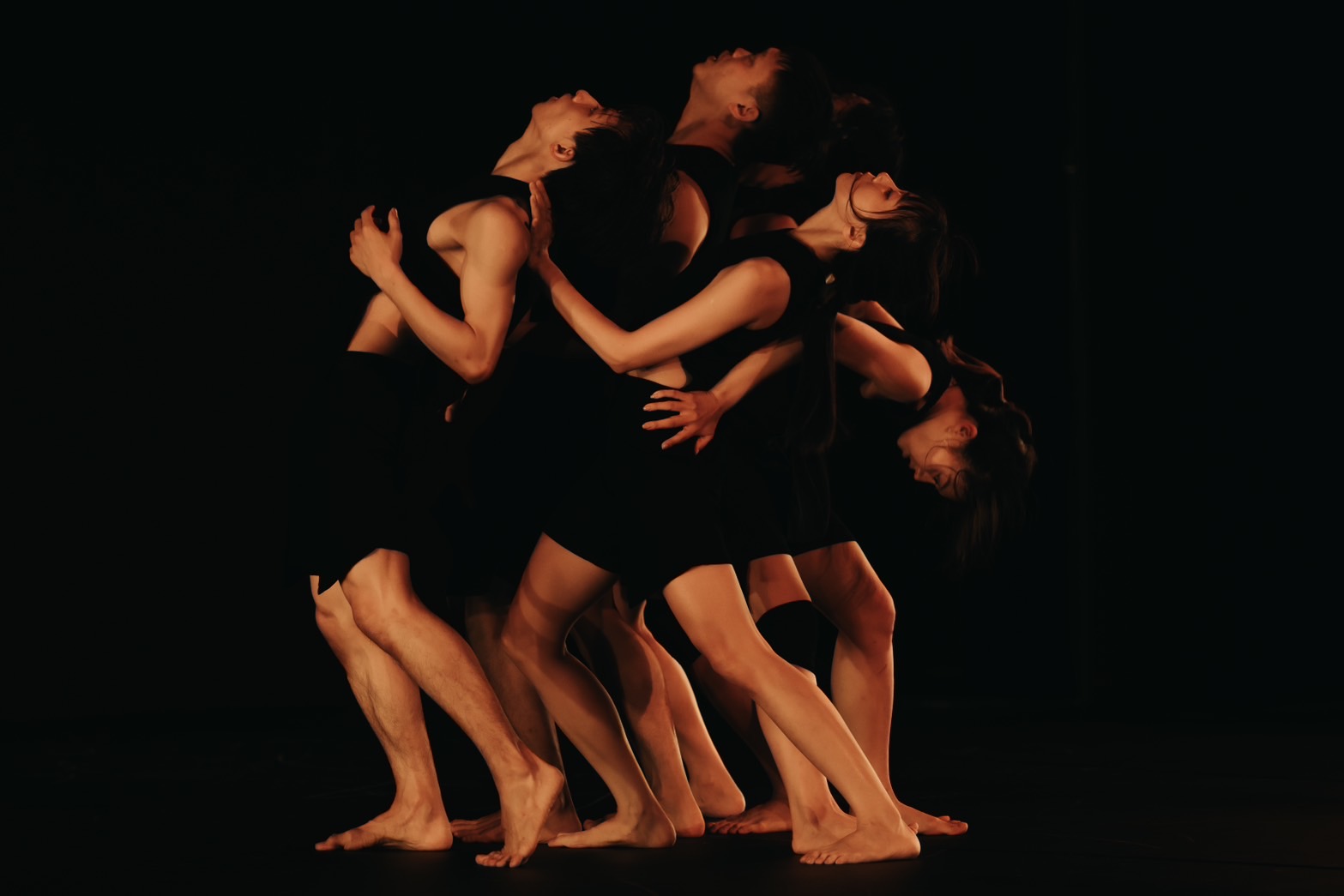 S 24616972 0 S 24616972 0