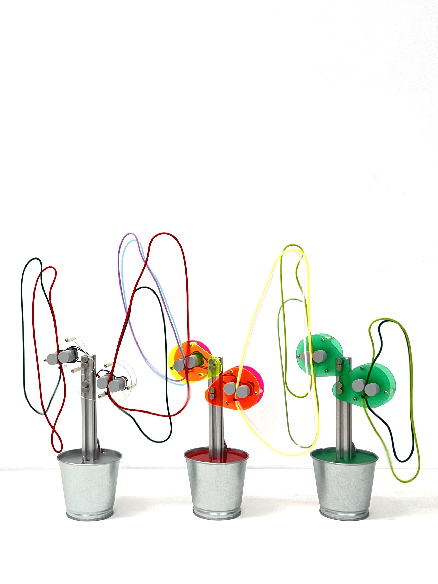 邱馳 射線盆栽 (1)