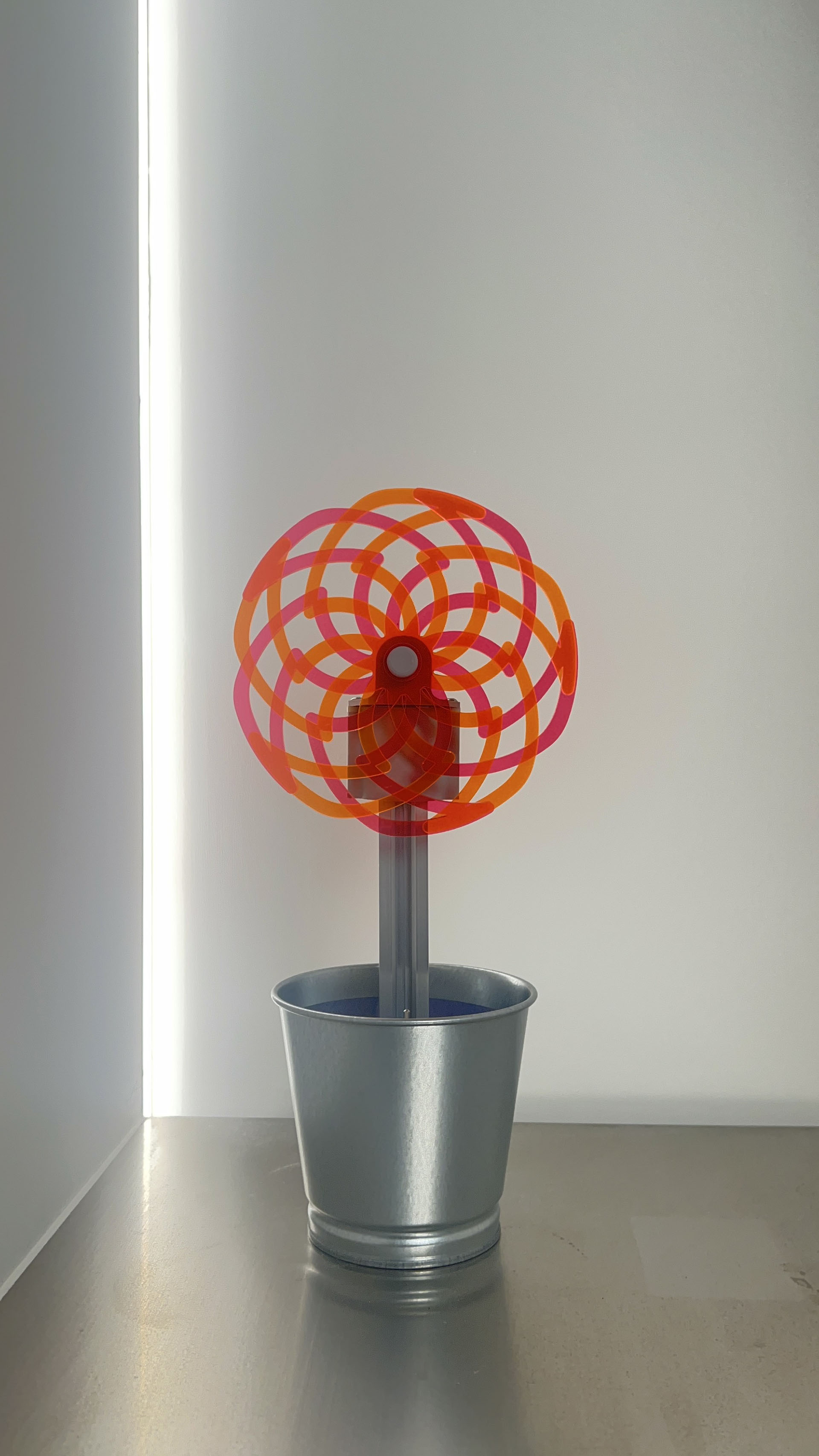 邱馳 轉轉花 (1)