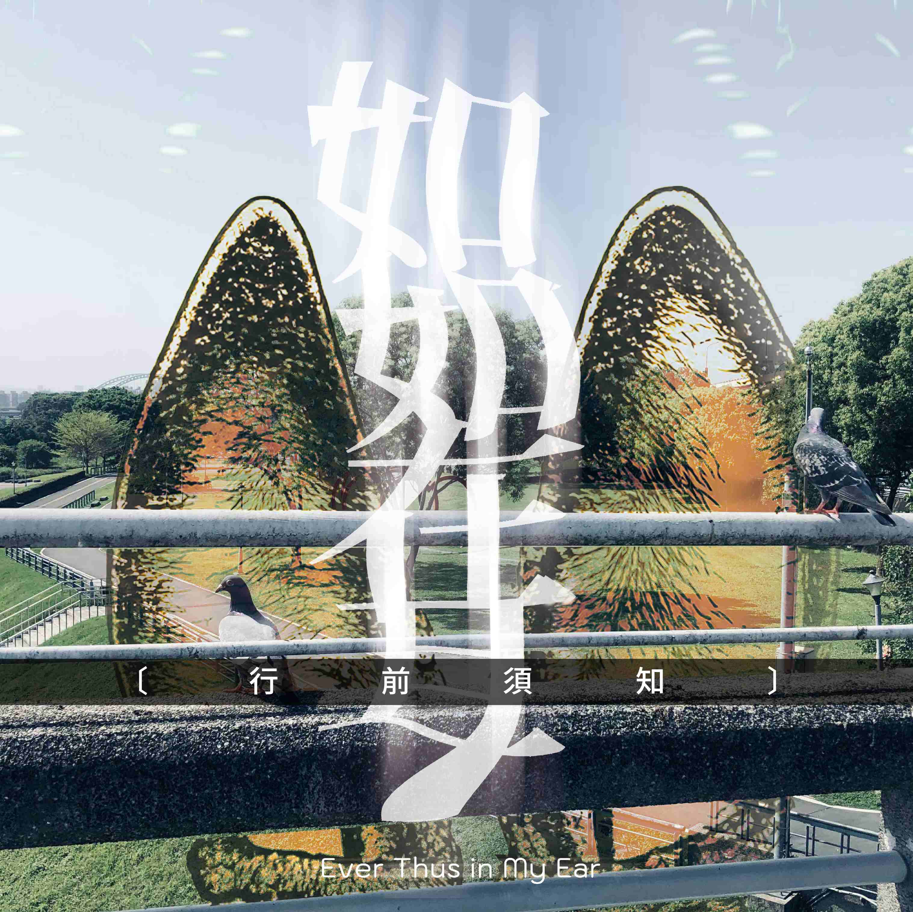 台新 台新 複本 3 台新 複本 3 (1)