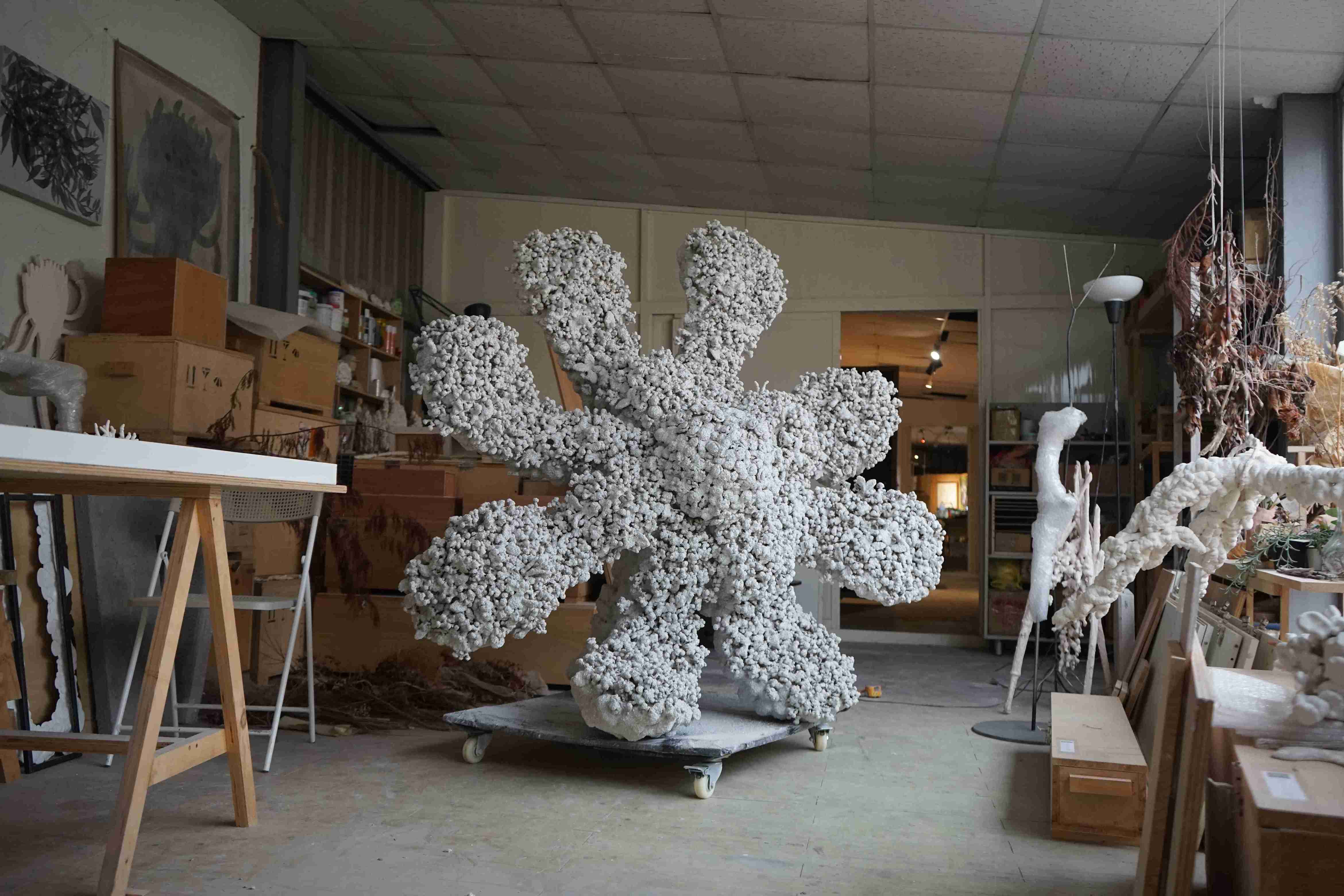 2 南方雪 Southern Snow At Studio