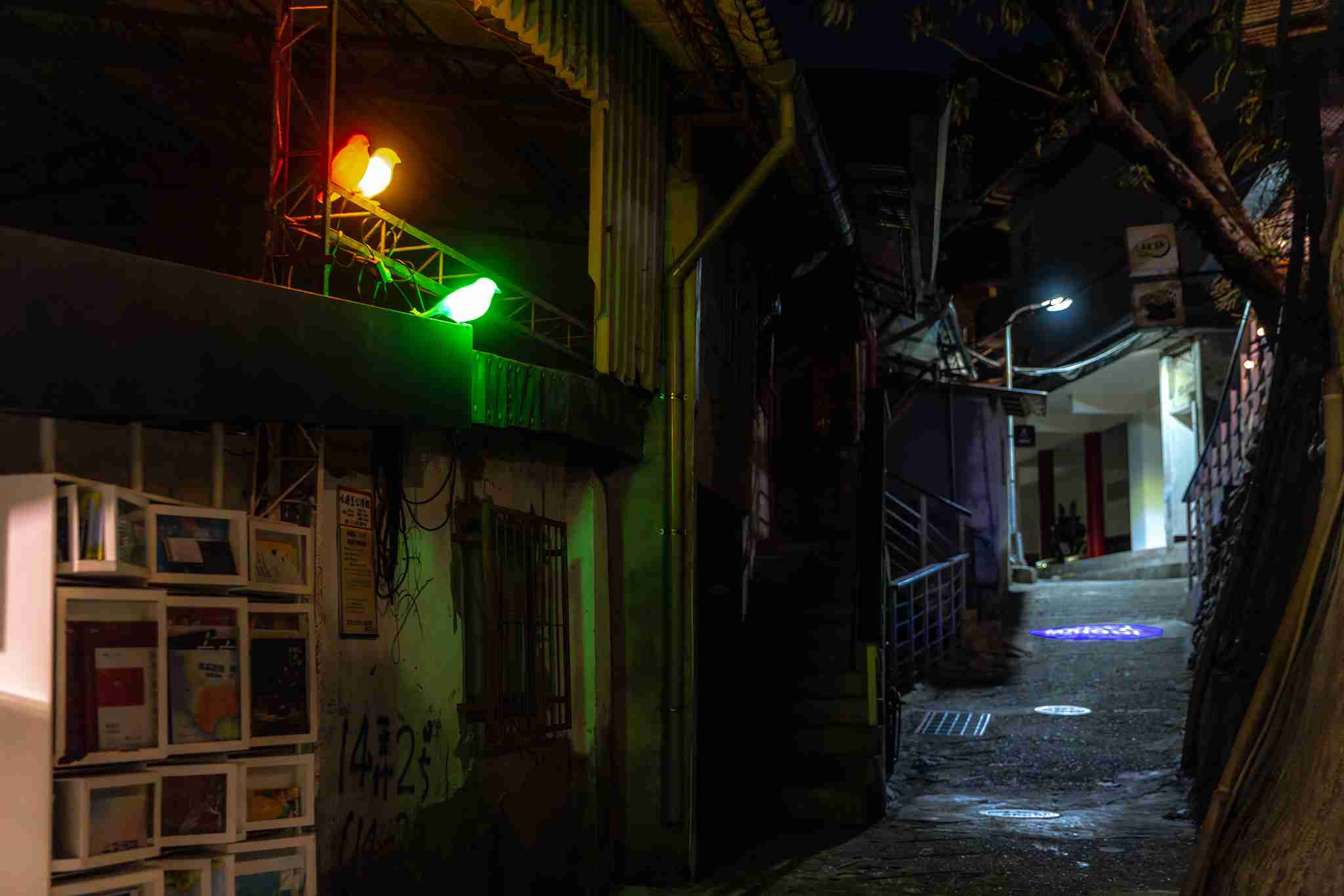 2 暫在此地的紅黃綠 2