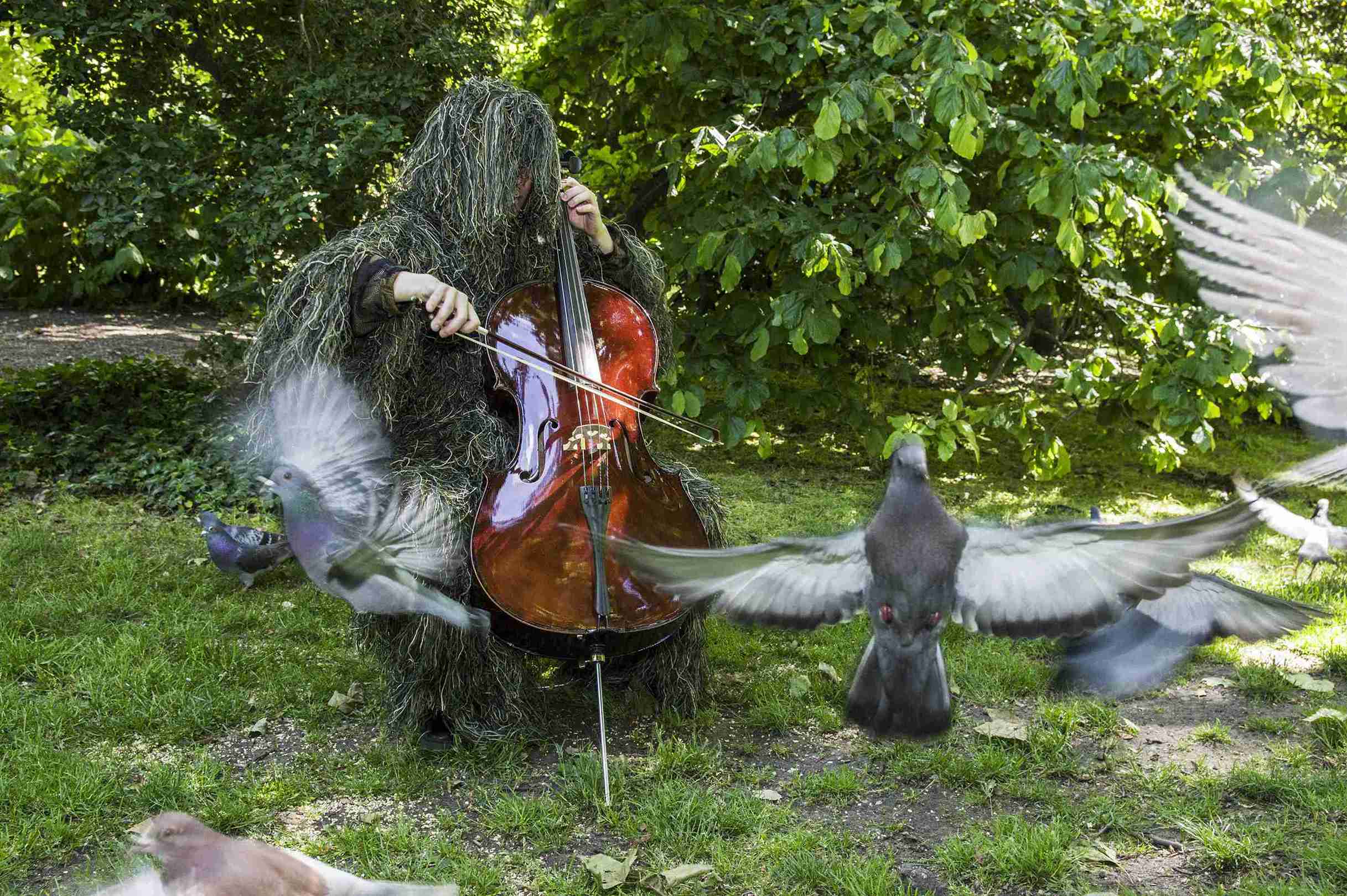 2 Summoner Of Birds 1 11zon