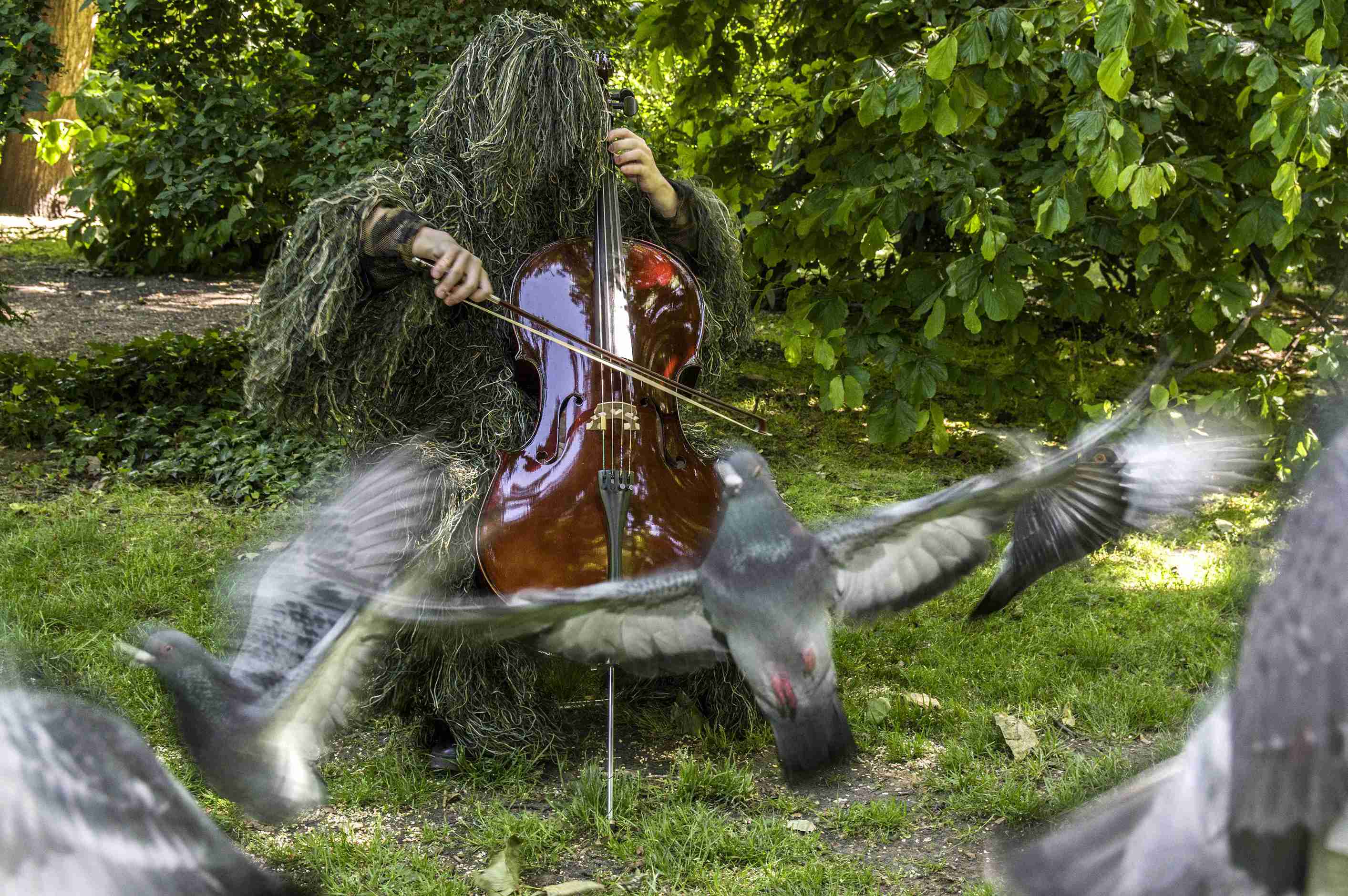 3 Summoner Of Birds 2