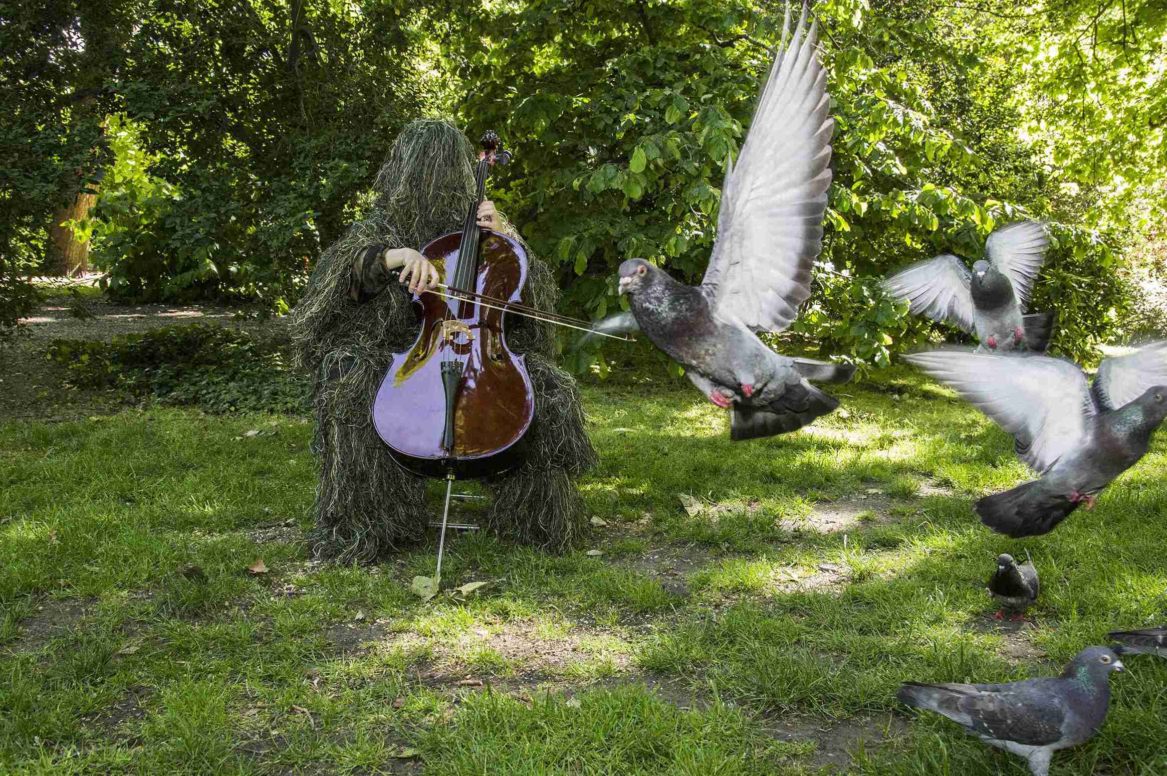 4 Summoner Of Birds 3 11zon