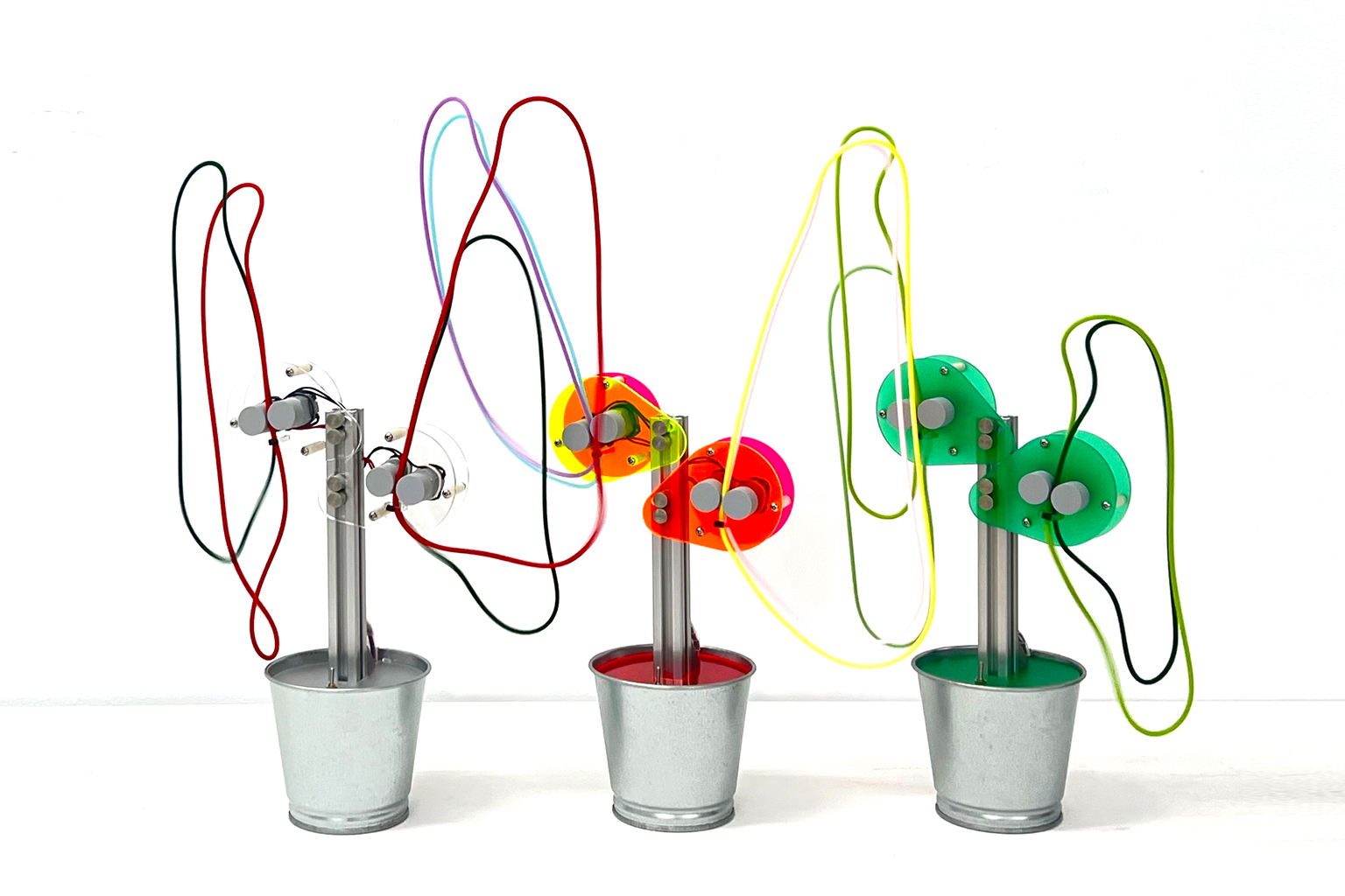 Lasso Plant 4（裁切版）